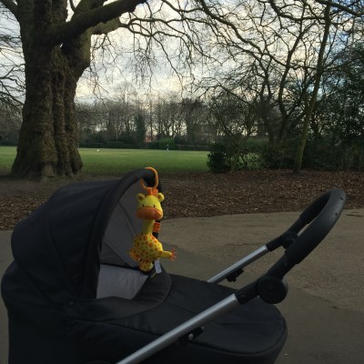 Choosing a pram: How to survive the process!