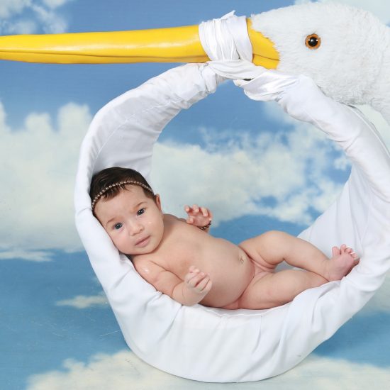 Baby being delivered by a stuffed stork