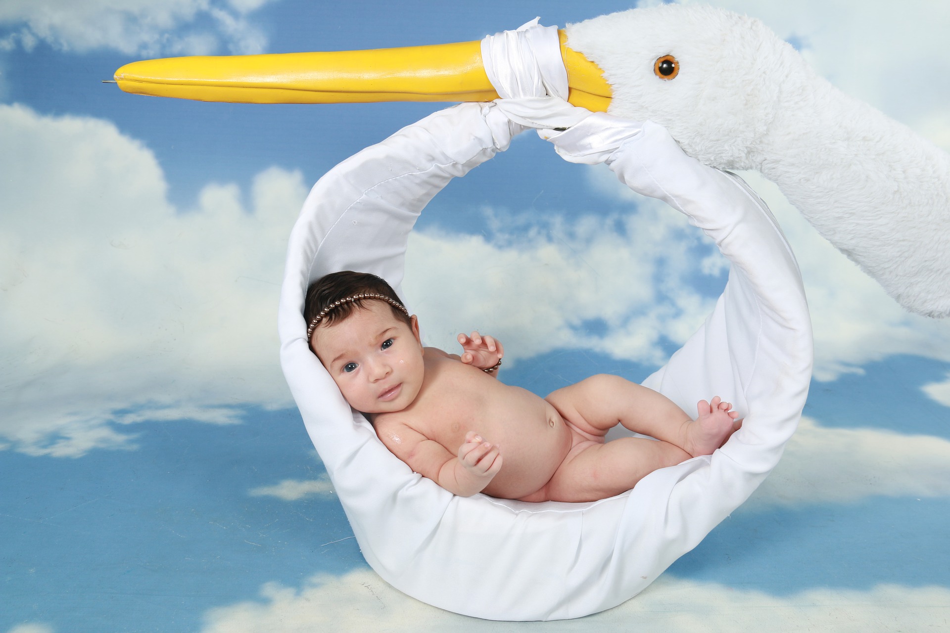 Baby being delivered by a stuffed stork