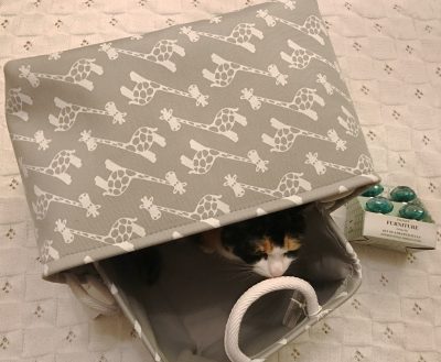 Cat modelling TK Maxx purchases