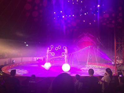 Balancing act at Gandeys Circus