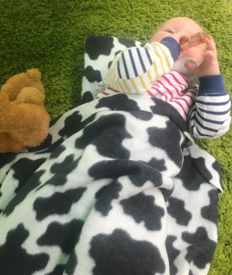 Tall Boy snuggled under a blanket at Hartbeeps