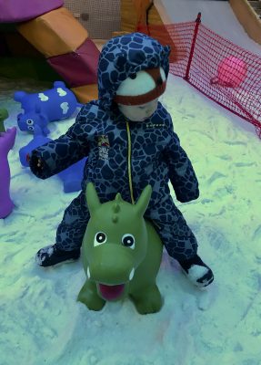 Fun in Mini Moose Land