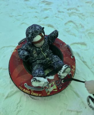 Fun in Mini Moose Land