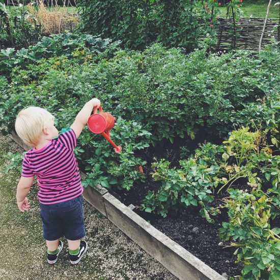 Tall Boy watering the garden at Ordsall Hall