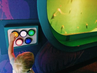 Changing the jelly fish colour