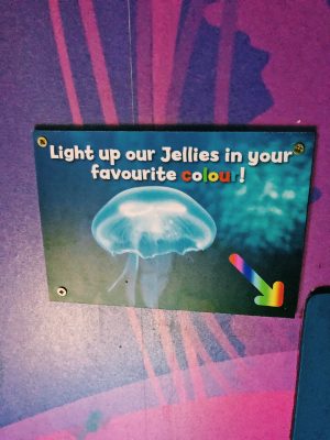 Light up the jellies